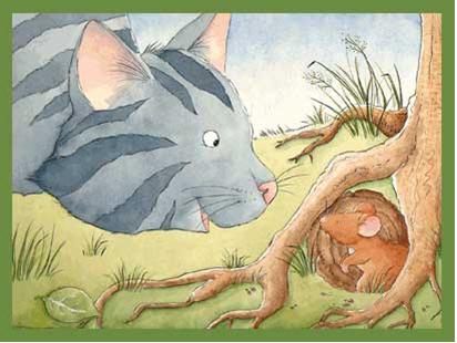 gato-raton