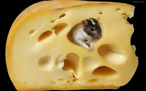 ¿Me comeré el queso?